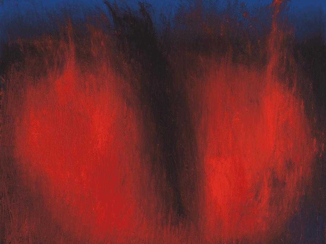 Anish Kapoor: Drawings 