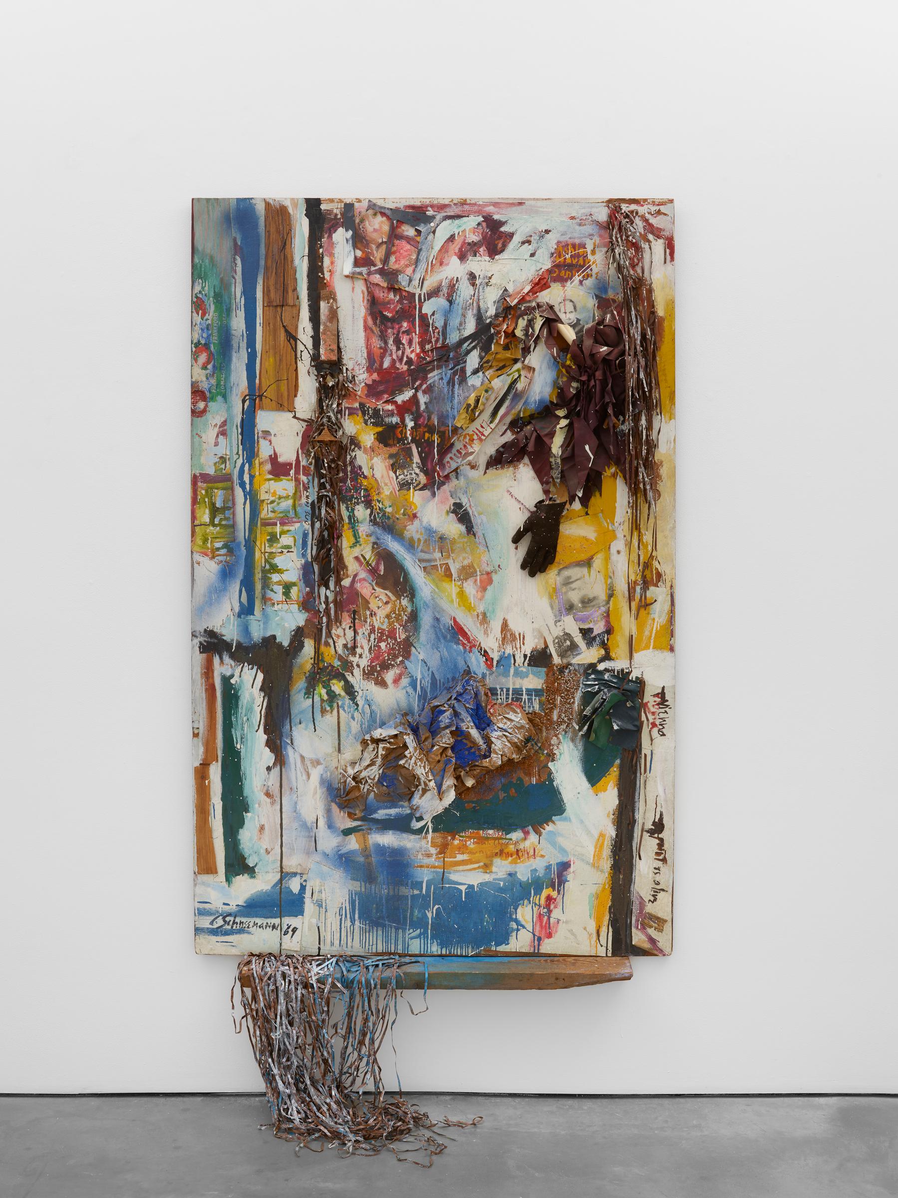 One Window Is Clear - Notes to Lou Andreas Salome by Carolee Schneemann