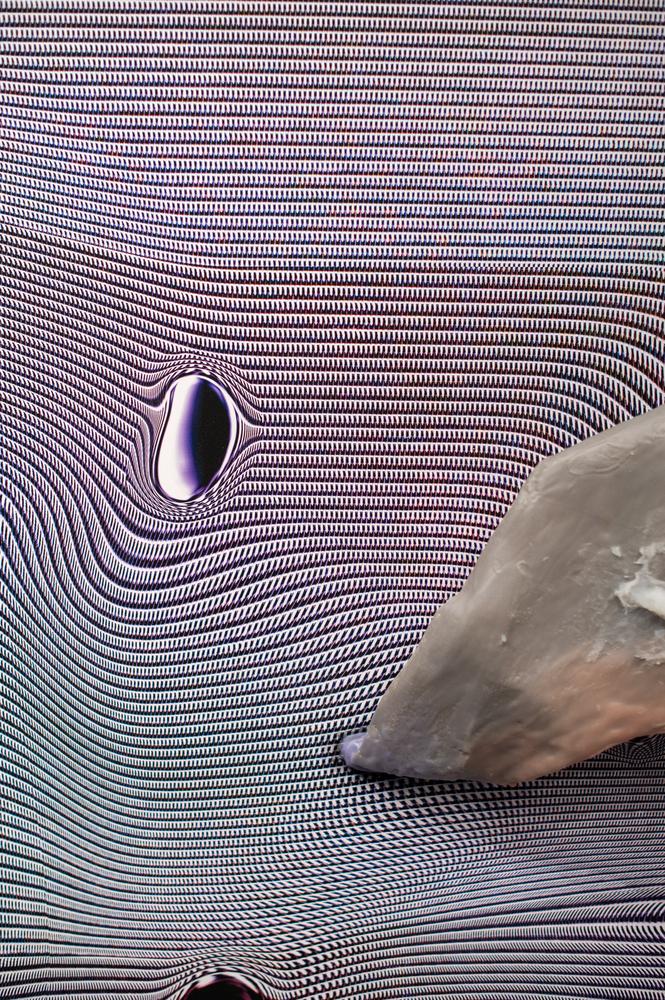 Skin-screen: revealed (quadriptych) by Tishan Hsu