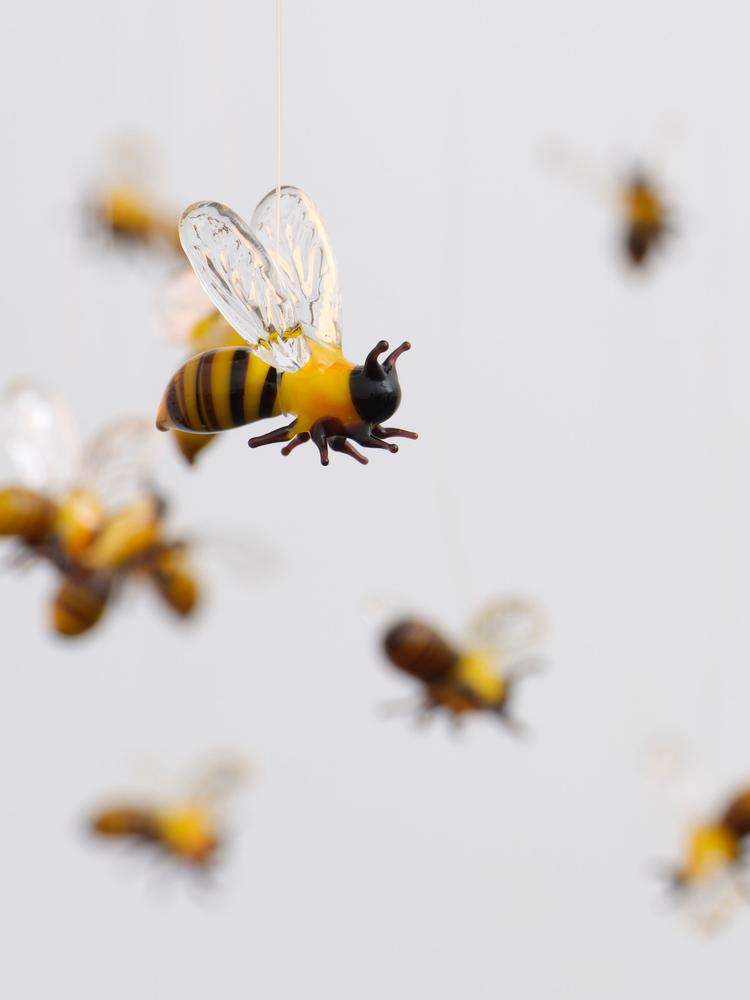 Hive seen you by Laure Prouvost
