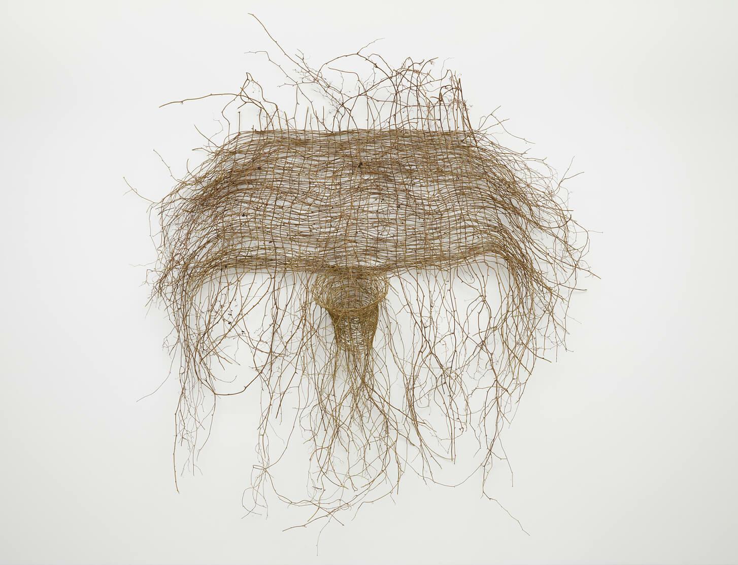 Hugh Hayden: Huey