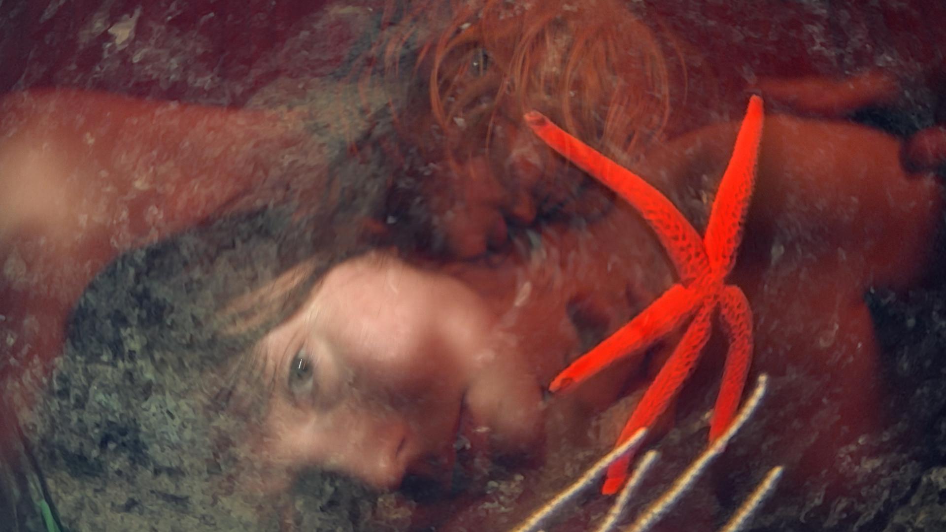 Four For See Beauties by Laure Prouvost
